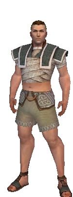 Monk Woven armor m gray front chest feet.jpg