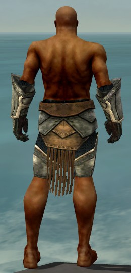 File:Warrior Sunspear armor m gray back arms legs.jpg