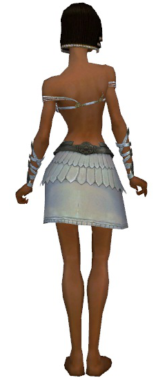 File:Paragon Istani armor f gray back arms legs.png