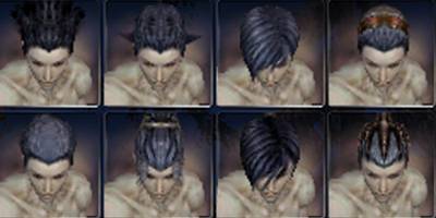File:Necro factions hair style m.jpg