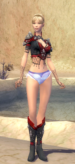 File:Elementalist Elite Stoneforged armor f red front chest feet.jpg