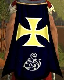 File:Guild The Actives cape.jpg