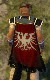 File:Guild The Area Fifty One Guild cape.jpg