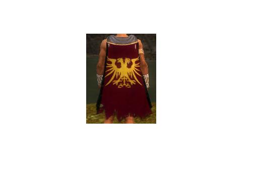 File:Guild Lords Of Confusion cape.jpg
