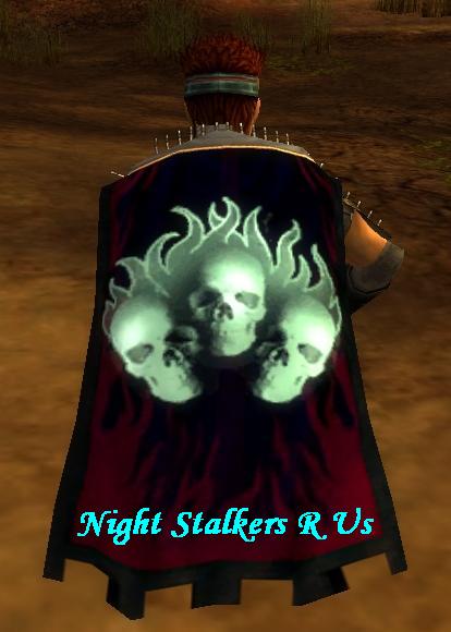 File:Guild Night Stalkers R Us cape.jpg