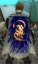 File:Guild Founded By Fate cape.jpg