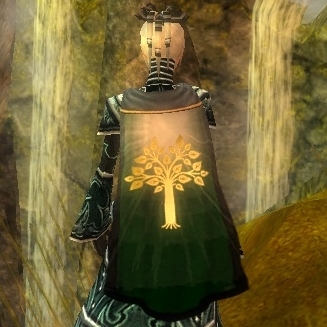 File:Guild Ryders Of The Sword cape.jpg