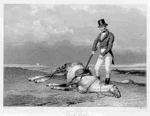 File:User Lord Belar Beating-a-dead-horse.gif