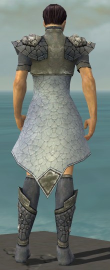 File:Elementalist Stoneforged armor m gray back chest feet.jpg