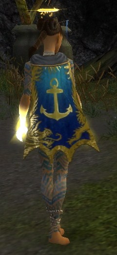File:Guild Forever And Ever cape.jpg