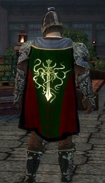 File:Guild Infused Requisite cape.jpg