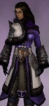File:Screenshot Ranger Norn armor f dyed Purple.jpg