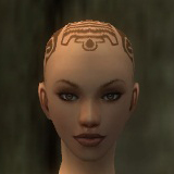 File:Monk Norn armor f brown front head.jpg