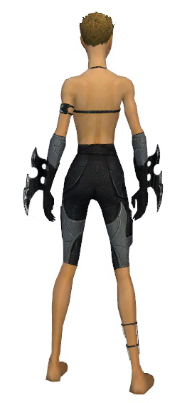 File:Assassin Kurzick armor f gray back arms legs.png