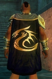 File:Guild The Rogue Dragons cape.jpg