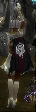 Guild The Son Of The Chaos cape.jpg