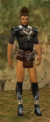 File:Ritualist Kurzick armor m gray front chest feet.jpg