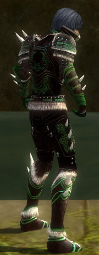 File:Necromancer Norn armor m dyed right.jpg