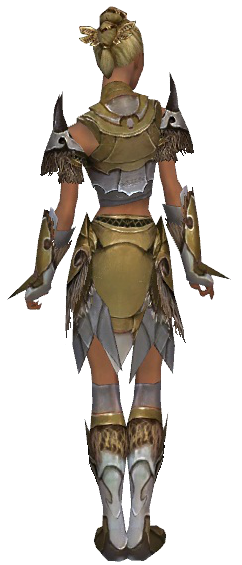 File:Paragon Norn armor f dyed back.png