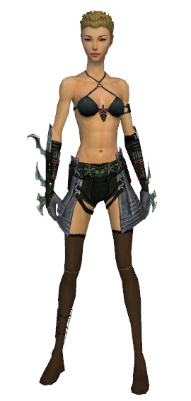 File:Assassin Elite Luxon armor f gray front arms legs.png