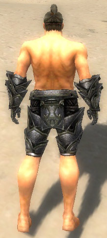 File:Warrior Obsidian armor m gray back arms legs.jpg