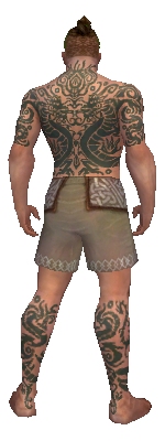 File:Monk Dragon armor m gray back chest feet.jpg