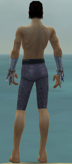 File:Elementalist Elite Iceforged armor m gray back arms legs.jpg
