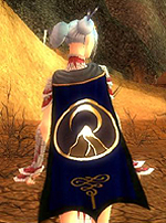 Guild New Legends Of Might And Magic cape.jpg