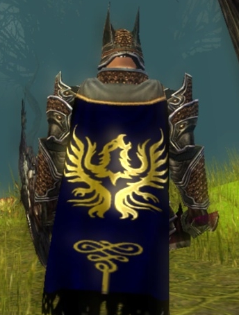 File:Guild Sacred Knights Of Orr cape.jpg