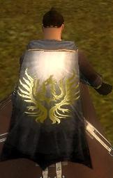 File:Guild The Unified Nation cape.jpg
