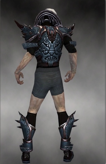 File:Necromancer Asuran armor m gray back chest feet.jpg