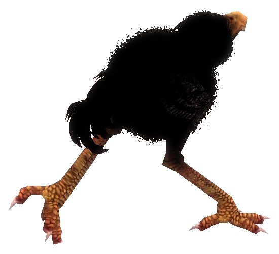 File:Black Moa Chick striding semi-profile.png