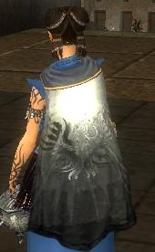 File:Guild Medieval Knights Of Darkness cape.jpg