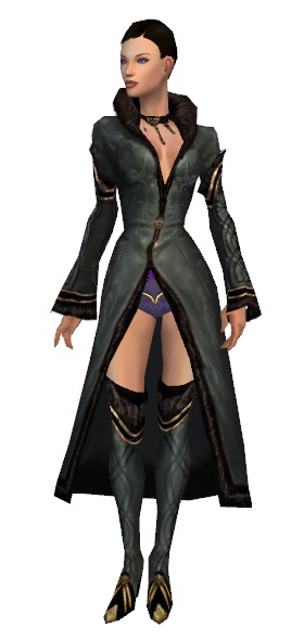 File:Mesmer Norn armor f gray front chest feet.png
