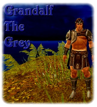 Guild Grandalf The Grey Banner.jpg