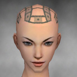File:Monk Luxon armor f gray front head.jpg
