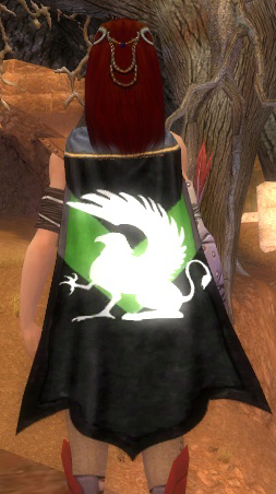 File:Guild The Gryphons Aerie Cape.jpg