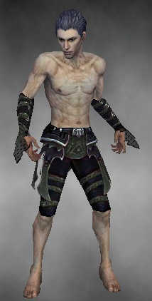 File:Necromancer Elite Cabal armor m gray front arms legs.jpg