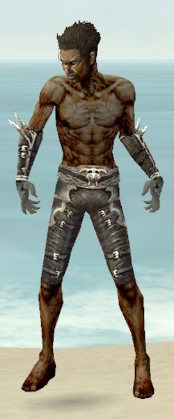 File:Necromancer Shing Jea armor m gray front arms legs.jpg