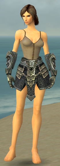 File:Warrior Elite Templar armor f gray front arms legs.jpg
