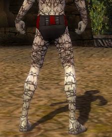 File:Necromancer Elite Scar Pattern armor m gray back arms legs.jpg