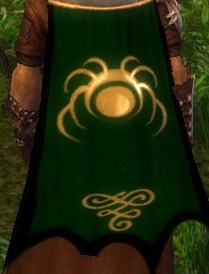 File:Guild The Hedge Of Everlight cape.jpg
