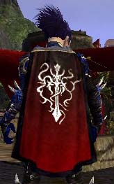 File:Guild Thy Vein Of Pains Brotherhood cape.jpg