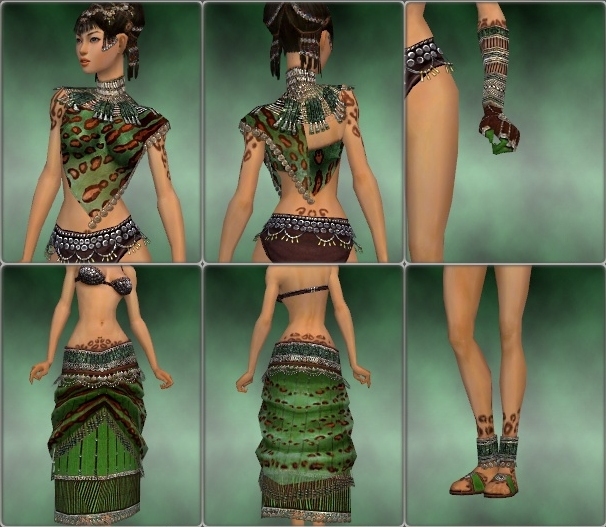 File:Ritualist Elite Exotic armor f green overview.jpg