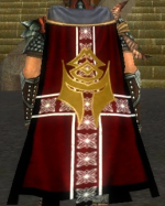 Guild Warriors From Denmark cape.png