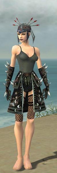 File:Necromancer Elite Canthan armor f gray front arms legs.jpg