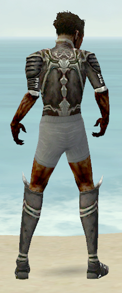 File:Necromancer Shing Jea armor m gray back chest feet.jpg