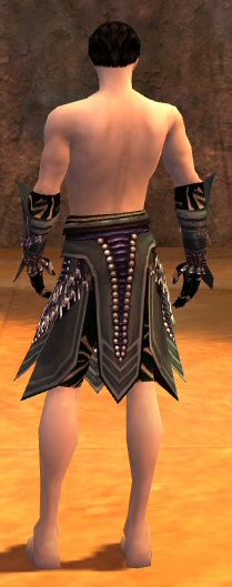 File:Ritualist Obsidian armor m gray back arms legs.jpg