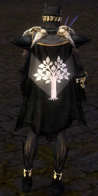 File:Guild Knights Of The Willow Cape.jpg