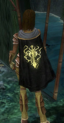 File:Guild Wizardry Players Guild cape.jpg